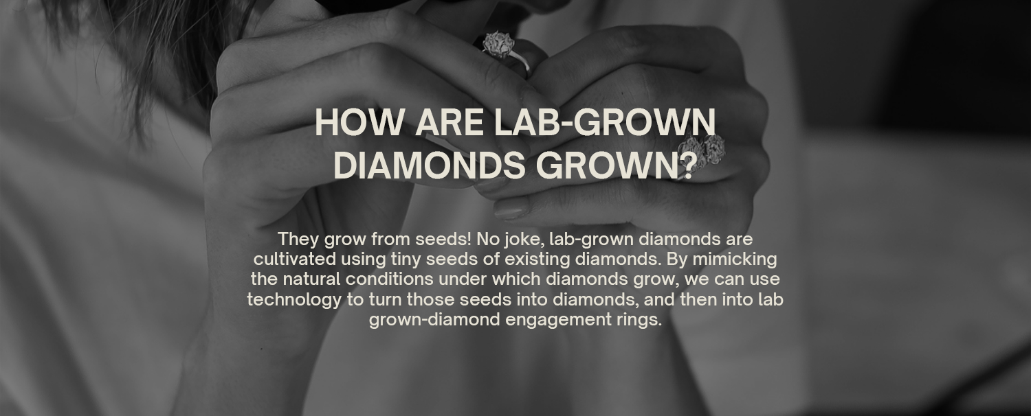How Are Lab-Grown Diamonds Grown?
They grow from seeds! No joke, lab-grown diamonds are cultivated using tiny seeds of existing diamonds. By mimicking the natural conditions under which diamonds grow, we can use technology to turn those seeds into diamonds, and then into lab grown-diamond engagement rings.
